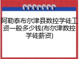 阿勒泰布尔津县数控学徒工资一般多少钱(布尔津数控学徒薪资)
