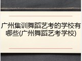 广州集训舞蹈艺考的学校有哪些(广州舞蹈艺考学校)
