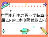 广西水利电力职业学院毕业后去向(桂水电院就业去向)