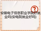 安徽电子信息职业学院好就业吗(安电院就业好吗)