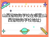 山西宠物狗学校在哪里(山西宠物狗学校地址)