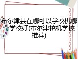 布尔津县在哪可以学挖机哪个学校好(布尔津挖机学校推荐)