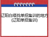 辽阳白塔找单招集训的地方(辽阳单招集训)