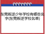 东莞叛逆少年学校有哪些名字(东莞叛逆学校名单)