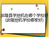 武隆县学挖机在哪个学校好(武隆挖机学校哪家好)