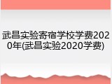武昌实验寄宿学校学费2020年(武昌实验2020学费)