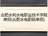 合肥水利水电职业技术学院单招(合肥水电职院单招)