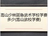 嵩山少林延鲁武术学校学费多少(嵩山武校学费)