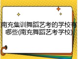 南充集训舞蹈艺考的学校有哪些(南充舞蹈艺考学校)
