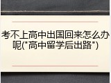 考不上高中出国回来怎么办呢("高中留学后出路")