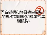 巴音郭楞和静县找单招集训的机构有哪些(和静单招集训机构)