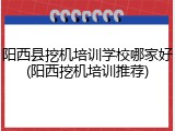 阳西县挖机培训学校哪家好(阳西挖机培训推荐)