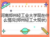 河南郑州轻工业大学现在什么情况(郑州轻工大现状)