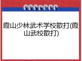 霞山少林武术学校散打(霞山武校散打)