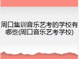 周口集训音乐艺考的学校有哪些(周口音乐艺考学校)