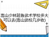 嵩山少林延鲁武术学校多大可以去(嵩山武校几岁收)