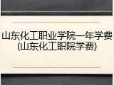 山东化工职业学院一年学费(山东化工职院学费)