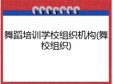 舞蹈培训学校组织机构(舞校组织)