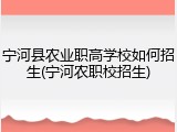 宁河县农业职高学校如何招生(宁河农职校招生)