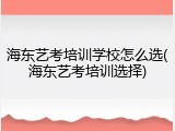 海东艺考培训学校怎么选(海东艺考培训选择)