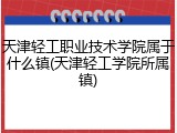 天津轻工职业技术学院属于什么镇(天津轻工学院所属镇)