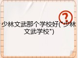 少林文武那个学校好("少林文武学校")