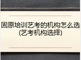 固原培训艺考的机构怎么选(艺考机构选择)