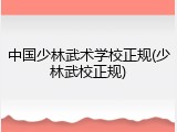 中国少林武术学校正规(少林武校正规)
