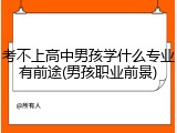 考不上高中男孩学什么专业有前途(男孩职业前景)