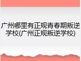 广州哪里有正规青春期叛逆学校(广州正规叛逆学校)