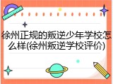 徐州正规的叛逆少年学校怎么样(徐州叛逆学校评价)