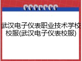 武汉电子仪表职业技术学校校服(武汉电子仪表校服)