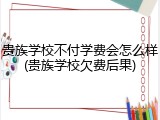 贵族学校不付学费会怎么样(贵族学校欠费后果)