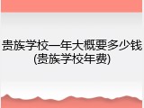 贵族学校一年大概要多少钱(贵族学校年费)