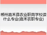 郴州嘉禾县农业职高学校读什么专业(嘉禾农职专业)