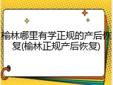 榆林哪里有学正规的产后恢复(榆林正规产后恢复)