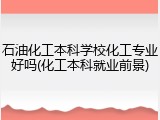 石油化工本科学校化工专业好吗(化工本科就业前景)