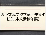 职中文武学校学费一年多少钱(职中文武校年费)