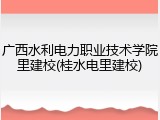 广西水利电力职业技术学院里建校(桂水电里建校)