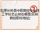 松原长岭县中职数控专业技工学校怎么样在哪里(长岭数控职校地址)