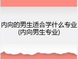 内向的男生适合学什么专业(内向男生专业)