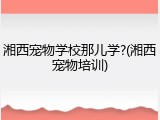 湘西宠物学校那儿学?(湘西宠物培训)