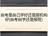 自考是自己学好还是报机构好(自考自学还是报班)