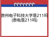 贵州电子科技大学是211吗(贵电是211吗)