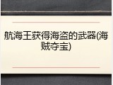 航海王获得海盗的武器(海贼夺宝)