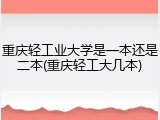 重庆轻工业大学是一本还是二本(重庆轻工大几本)