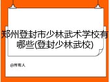 郑州登封市少林武术学校有哪些(登封少林武校)
