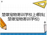 楚雄宠物寄训学校上哪找(楚雄宠物寄训学校)