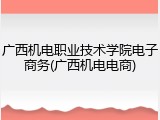 广西机电职业技术学院电子商务(广西机电电商)