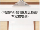 伊犁宠物培训班怎么找(伊犁宠物培训)